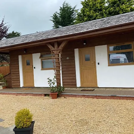 Beechwood בריסטול